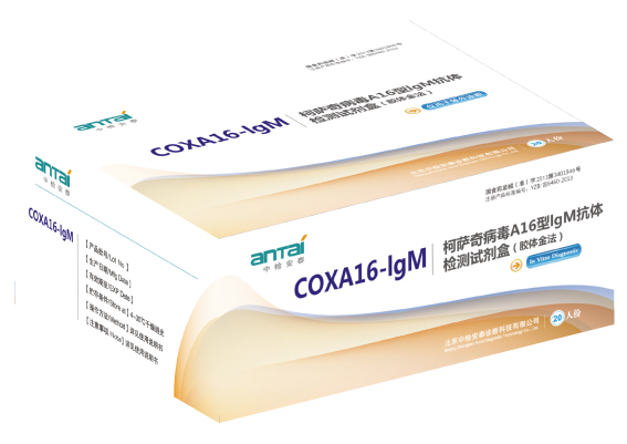 �����没��A16��IgM�������Լ��У�����𷨣�