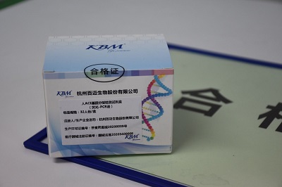 ��ACE������ͼ���Լ��У�ӫ��-PCR����