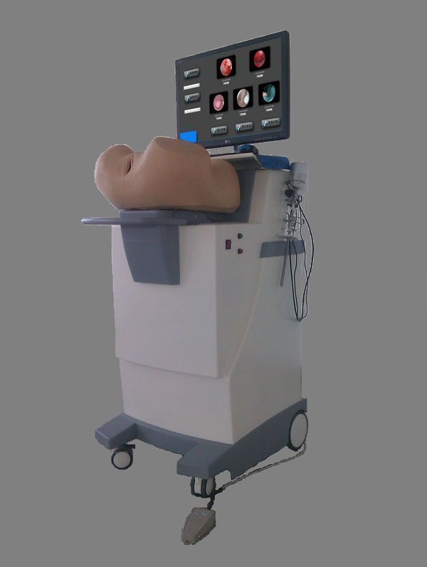 ��ǻ������ģ����