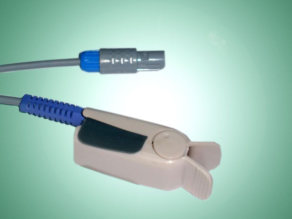 ����Ѫ��̽ͷ