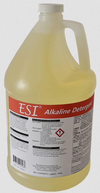 ������ϴ��