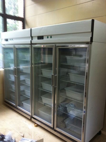 ��֯�걾����Ŷ���