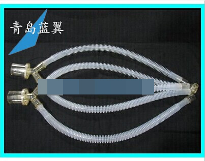 ̨������ͯ�轺������·ENT-2023-02H