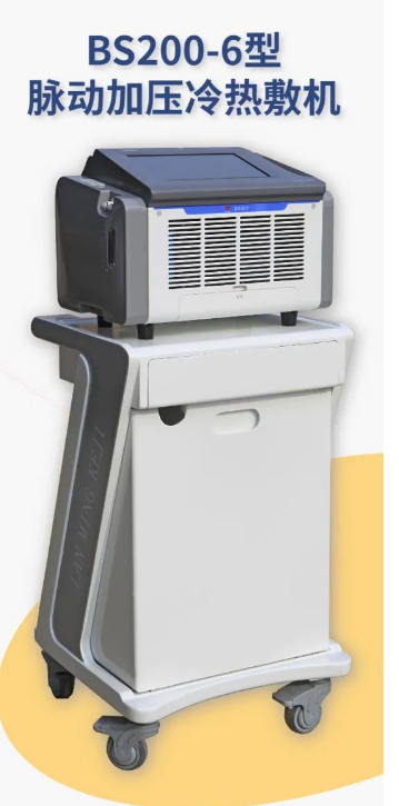 ���������Ǳ����BS100