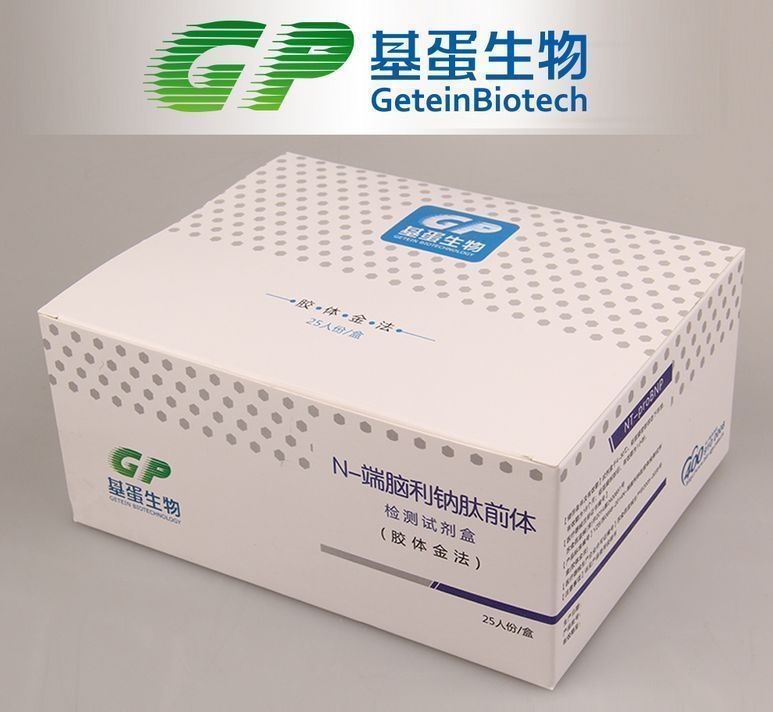 N-����������ǰ�����Լ��У�����𷨣�