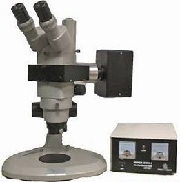 ����ӫ����΢��