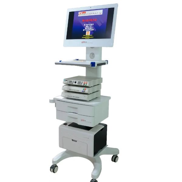 �Ǻ�������