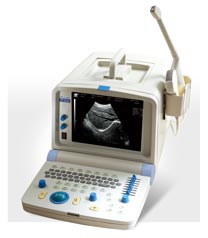 ���ֻ�B��