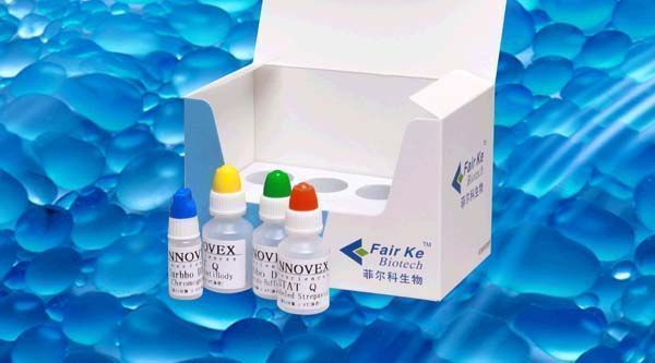 ������֯ר�����߽M���Լ�