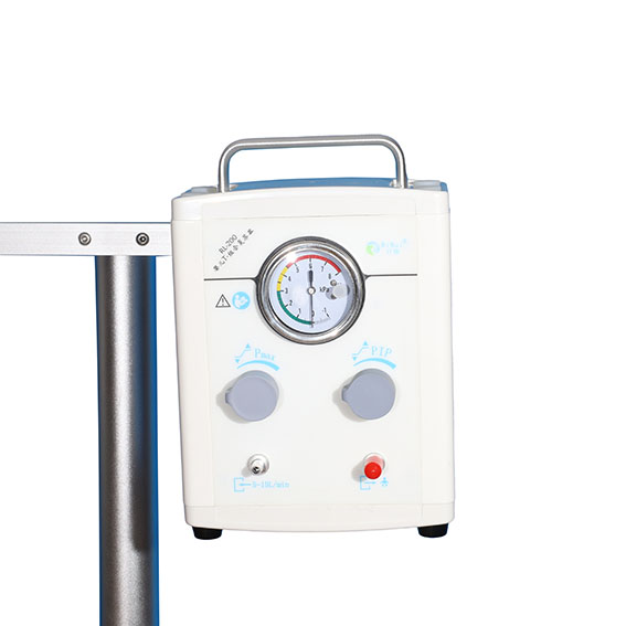 ����Ӥ��T��ϸ�����