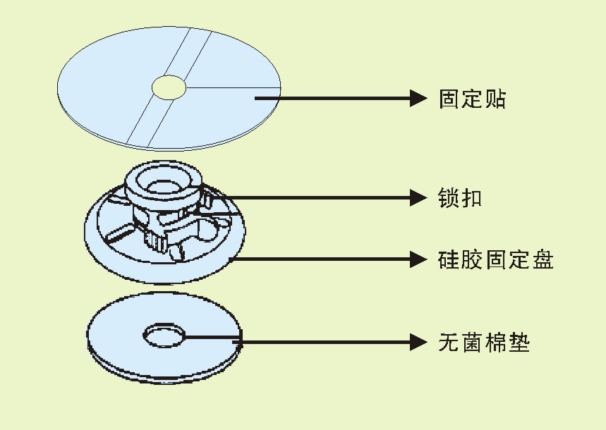 ���̶ܹ���