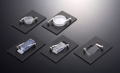 ������΢���������°�