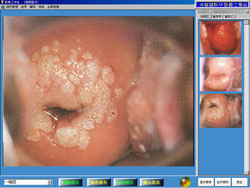 ��ǻ��Ӱ����վ