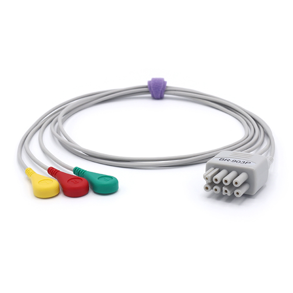 �����ձ��������ŷ���ʽ�ĵ絼����