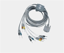 �ĵ絼����