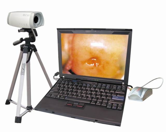 PL-9800 ��Яʽ����������