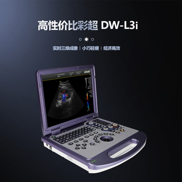 DW-L3i��Яʽ�ʳ��� �����ʳ�Ʒ�� �����ʳ���