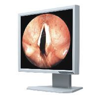 ��ɫ��ʾ��1M