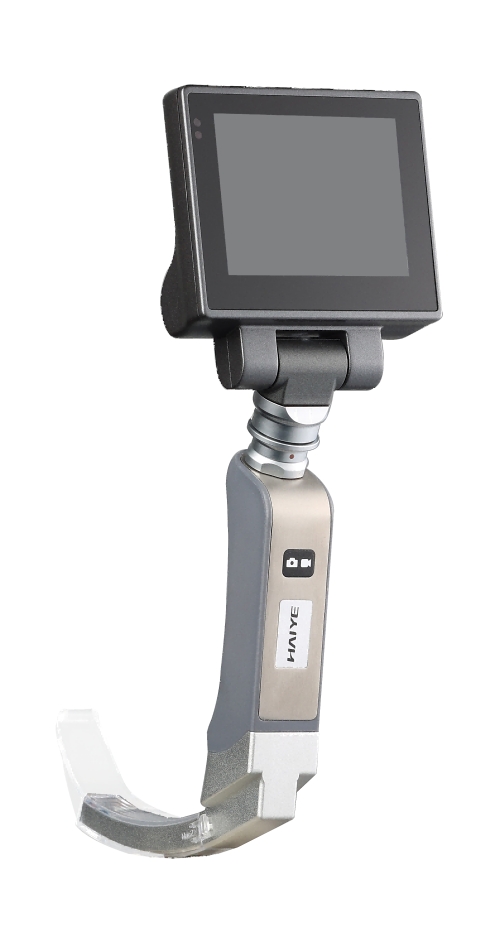 ���Ӻ���