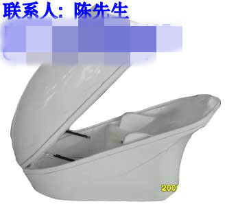 Զ����̫�ղ�