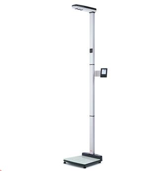 287�������������ӳ�