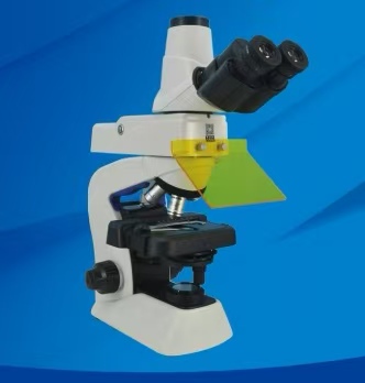 ������΢����ӫ����΢��