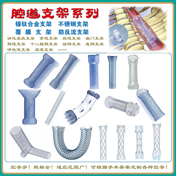 ����ϵͳ֧�ܣ�����֧�ܡ�����֧�ܡ�����֧�ܡ�ʮ��ָ��֧�ܣ�-���Ѽ���Ͻ�֧��-��Ѫ��֧��-ǻ��֧��