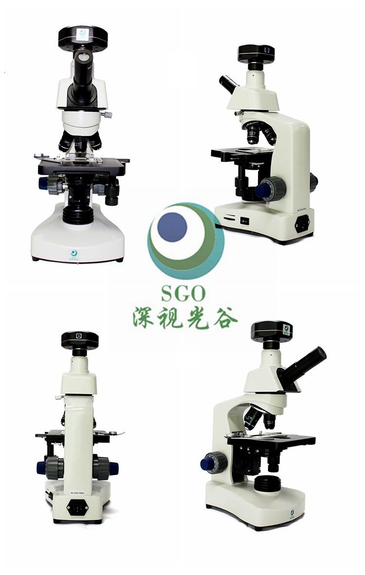 �ڱ���һ��Ѫ�����