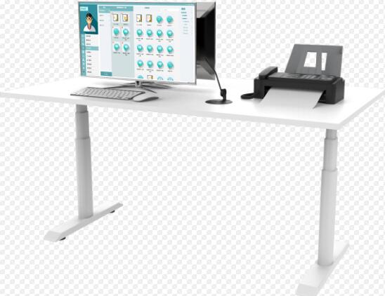 ����ѵ����������ϵͳ