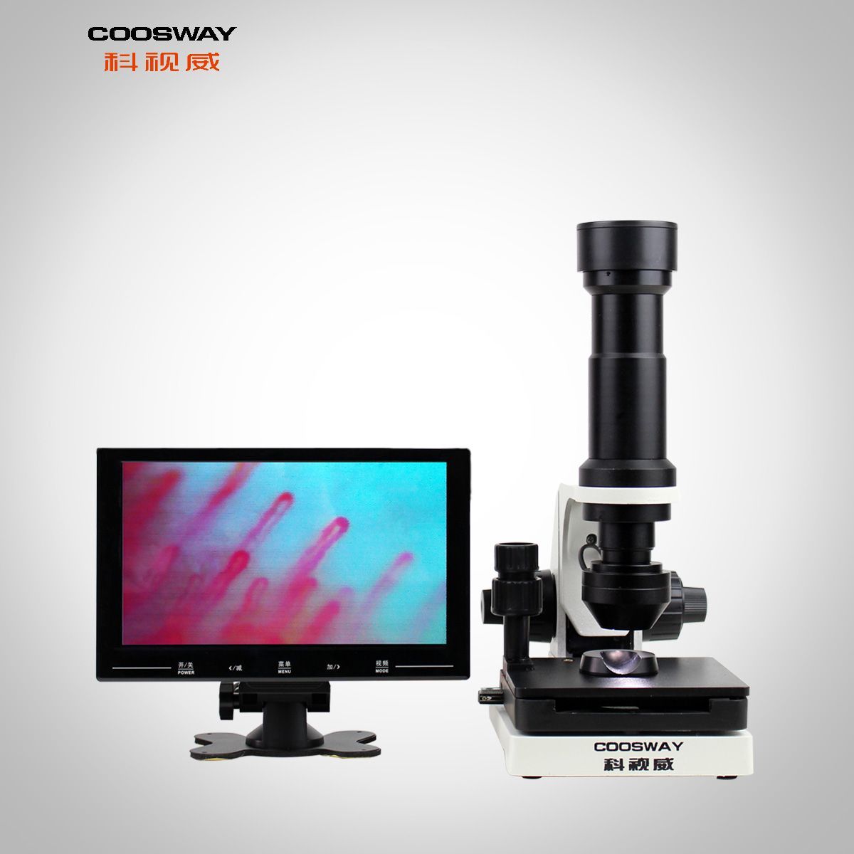 ΢ѭ�������