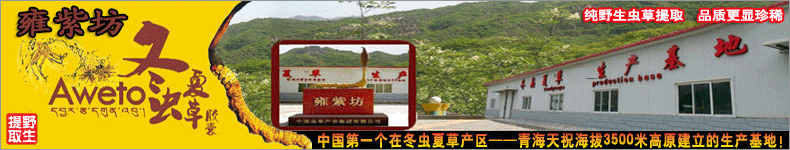 Ӻ�Ϸ������Ĳݽ���