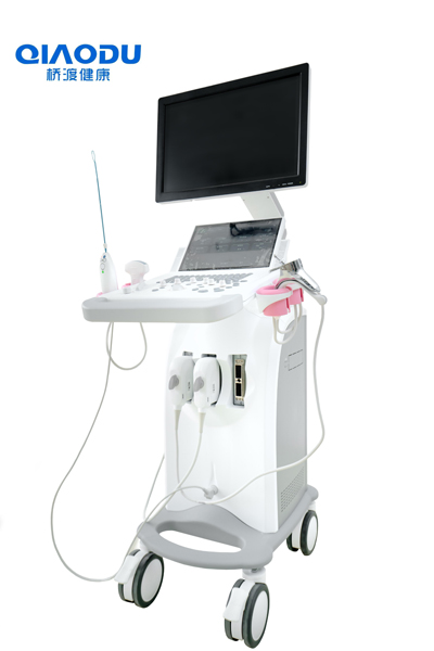 ����ʽ�˹�������