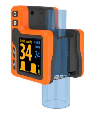 Ω��������ĩ������̼�����RICap