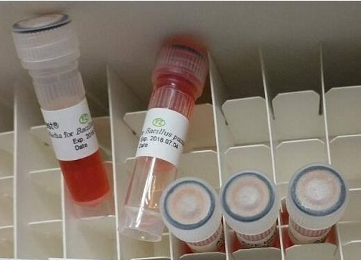 H6301�����������������ָʾ��