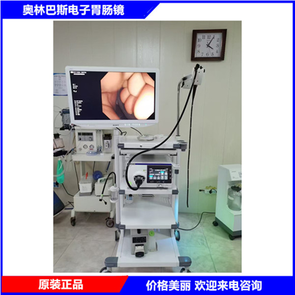 ԭװ���� ���ְ�˹�߶˵���θ����CV-290 ȫ����������CV-1500