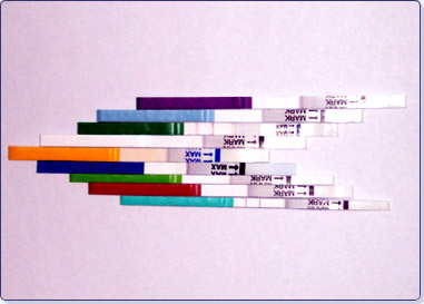 ��������Լ�