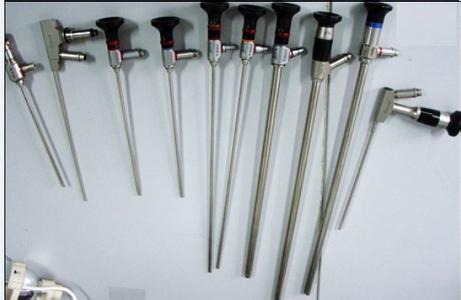 STORZʷ��˹���о�