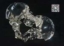 ˮ����ģ-���ƹ���