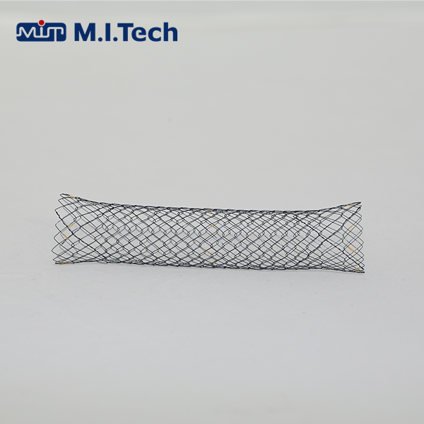 ��̩�˳���֧��