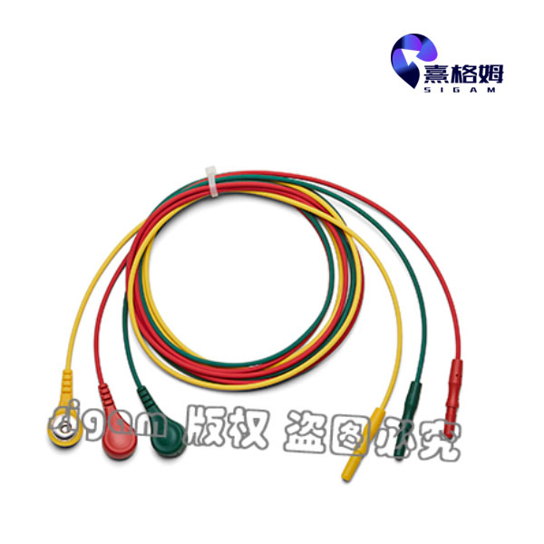 ���ķSigma  ECG ��ȫ���� IEC����ɫ����ɫ����ɫ��