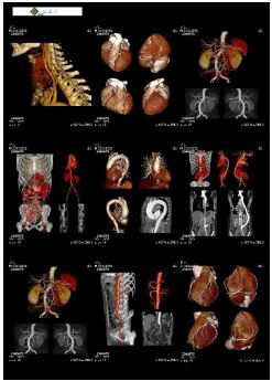 ������Ƭ