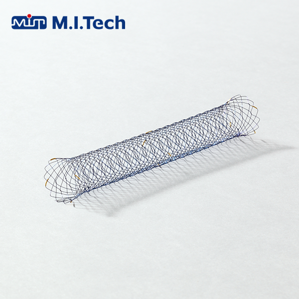 ��̩�˵���֧��