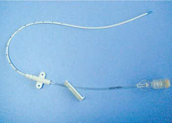 ��β�͵���