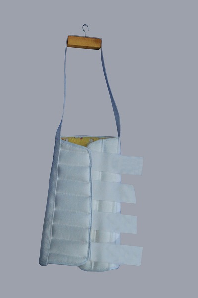 ��֫�̶���III��