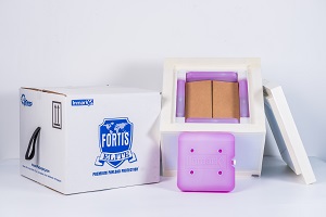 Fortis 2-8�����������