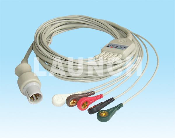 �ĵ絼����