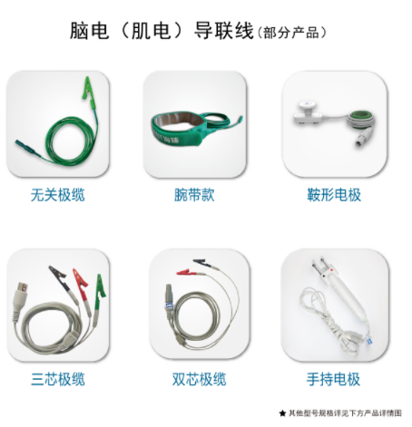 �Ե磨���磩������-�Ĳ�/�񾭴�����״�̼��缫/���絼����/�Ե絼����/����ͼ�Ĳ�