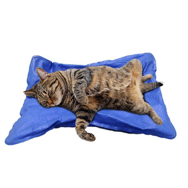 ���������̶���