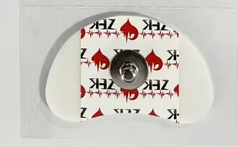 һ����ʹ���ĵ�缫