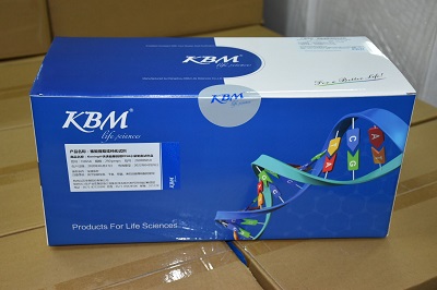 ������ȡ�򴿻��Լ�